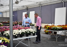Visitors checking out the varieties of Benary+